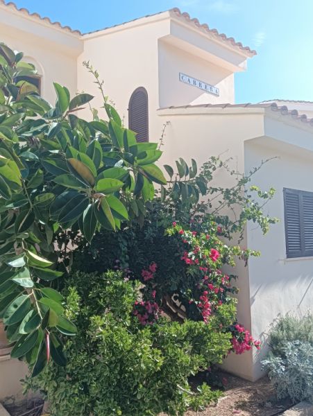 SEASON: Duplex - Apartment in 1. Line of the coast of Cala Murada -- AP 08 T