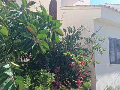 SEASON: Duplex - Apartment in 1. Line of the coast of Cala Murada -- AP 08 T