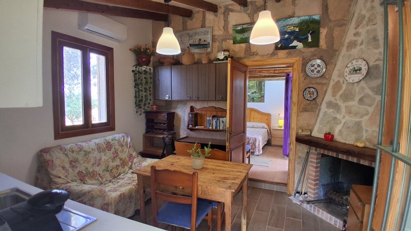 Temporada: Pequeña casita rural con chimenea, AC y jacuzzi cerca de Llucmajor -- C 14 T