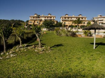 Season: Modern apartment with communal pool at Calas de Mallorca - AP 376 T