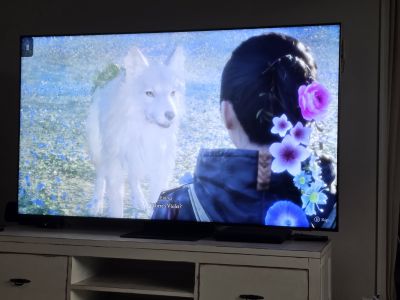 Samsung 75 Zoll Neo QLED 4K QE75QN95A sehr guter Zustand