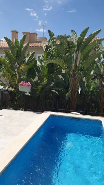 Sanierte Traum Doppelhaus Hälfte in Sa Cabaneta unweit des Golfplatz
