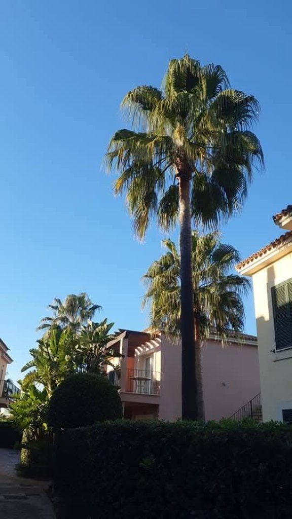 Saniertes Traum EG Apartment in überwachter Wohnanlage am Es Trenc Strand NEUE FASSADE