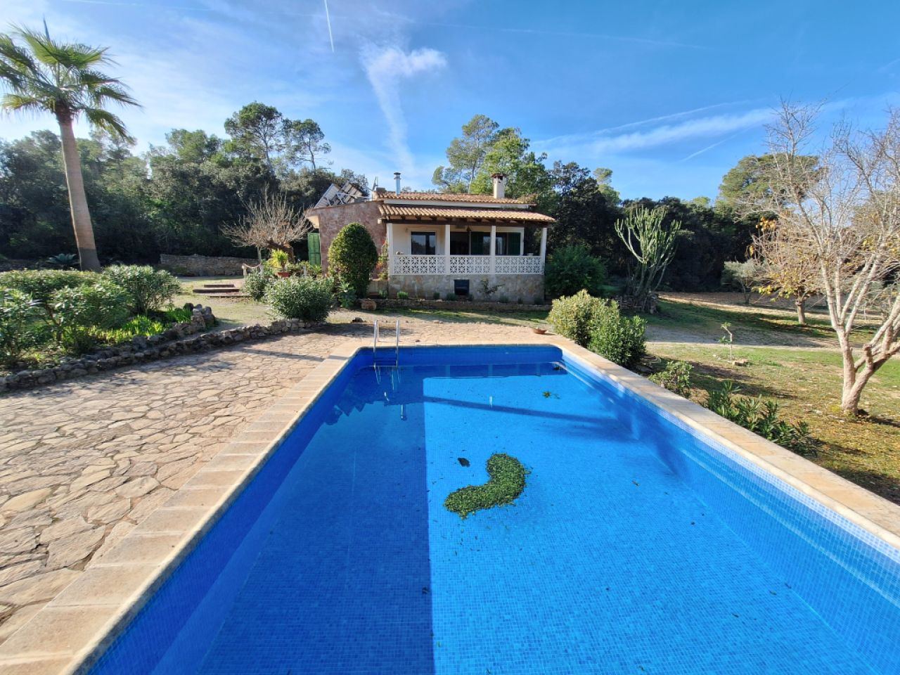 SANT JOAN (CENTRE OF THE ISLAND): Charming finca with pool, private well, guest apartment and 82 m² shed