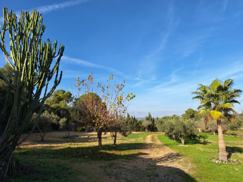 SANT JOAN (CENTRE OF THE ISLAND): Charming finca with pool, private well, guest apartment and 82 m² shed