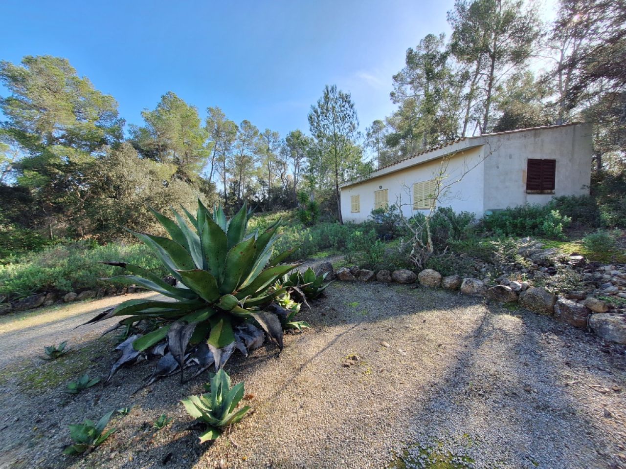 SANT JOAN (CENTRE OF THE ISLAND): Charming finca with pool, private well, guest apartment and 82 m² shed