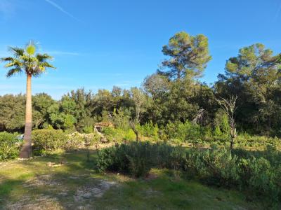 SANT JOAN (CENTRE OF THE ISLAND): Charming finca with pool, private well, guest apartment and 82 m² shed
