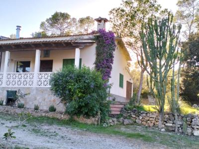 SANT JOAN (CENTRE OF THE ISLAND): Charming finca with pool, private well, guest apartment and 82 m² shed