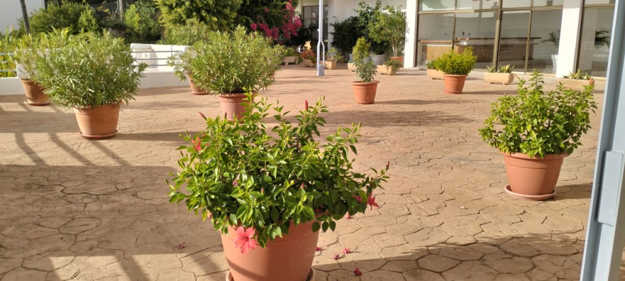 SANTA PONSA: Ruhige, renovierte möblierte 2 SZ-Wohnung mit Meerblick-Terrasse, Heizung & Pool zu VM