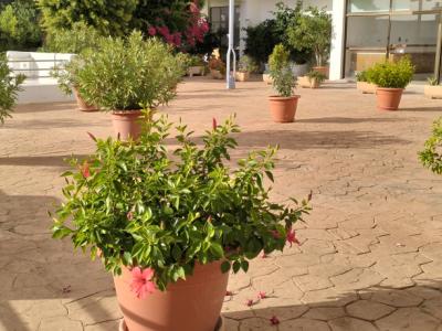 SANTA PONSA: Ruhige, renovierte möblierte 2 SZ-Wohnung mit Meerblick-Terrasse, Heizung & Pool zu VM