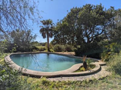 Santanyí - Mallorca - Landhaus zu verkaufen