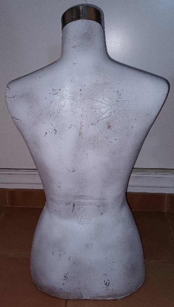 Tailor's mannequin female bust