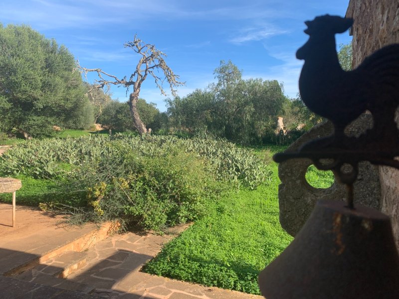 Beautiful casita near Santanyi