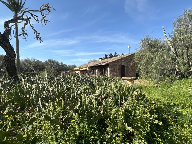 Beautiful casita near Santanyi