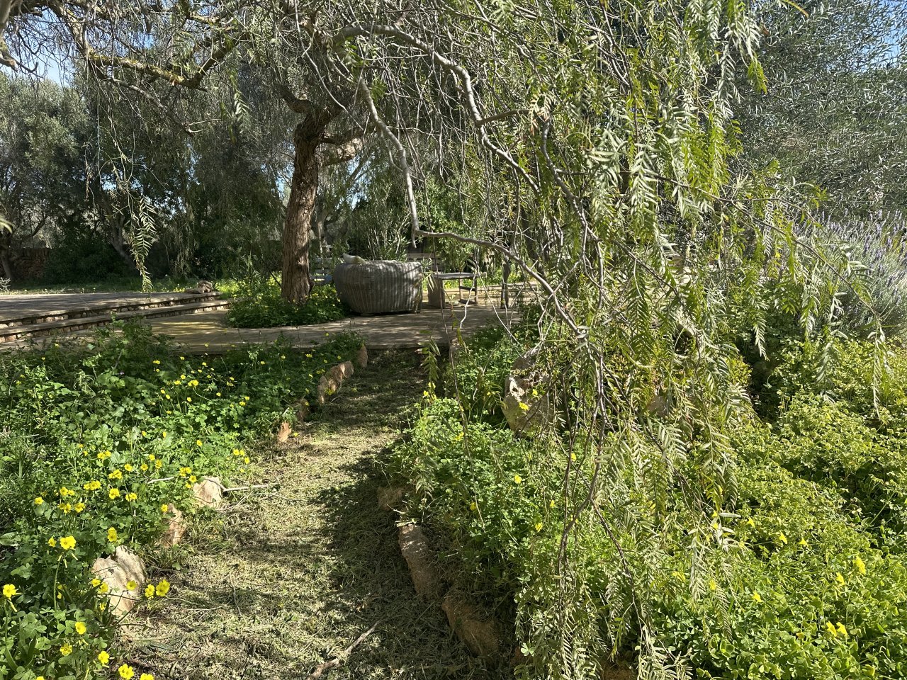 Beautiful casita near Santanyi