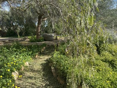Beautiful casita near Santanyi