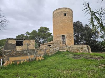 Schöne Finca mit renovierungsbedürftigem Haus