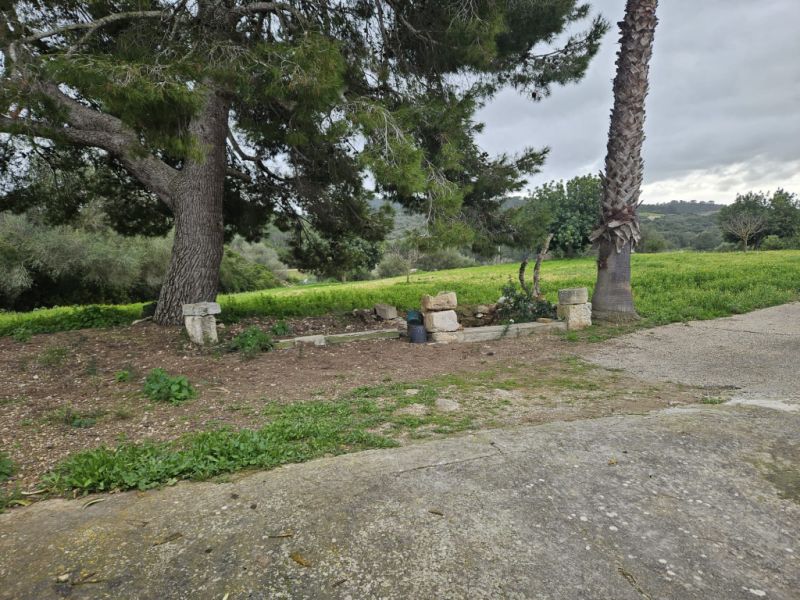 Schöne Finca mit renovierungsbedürftigem Haus
