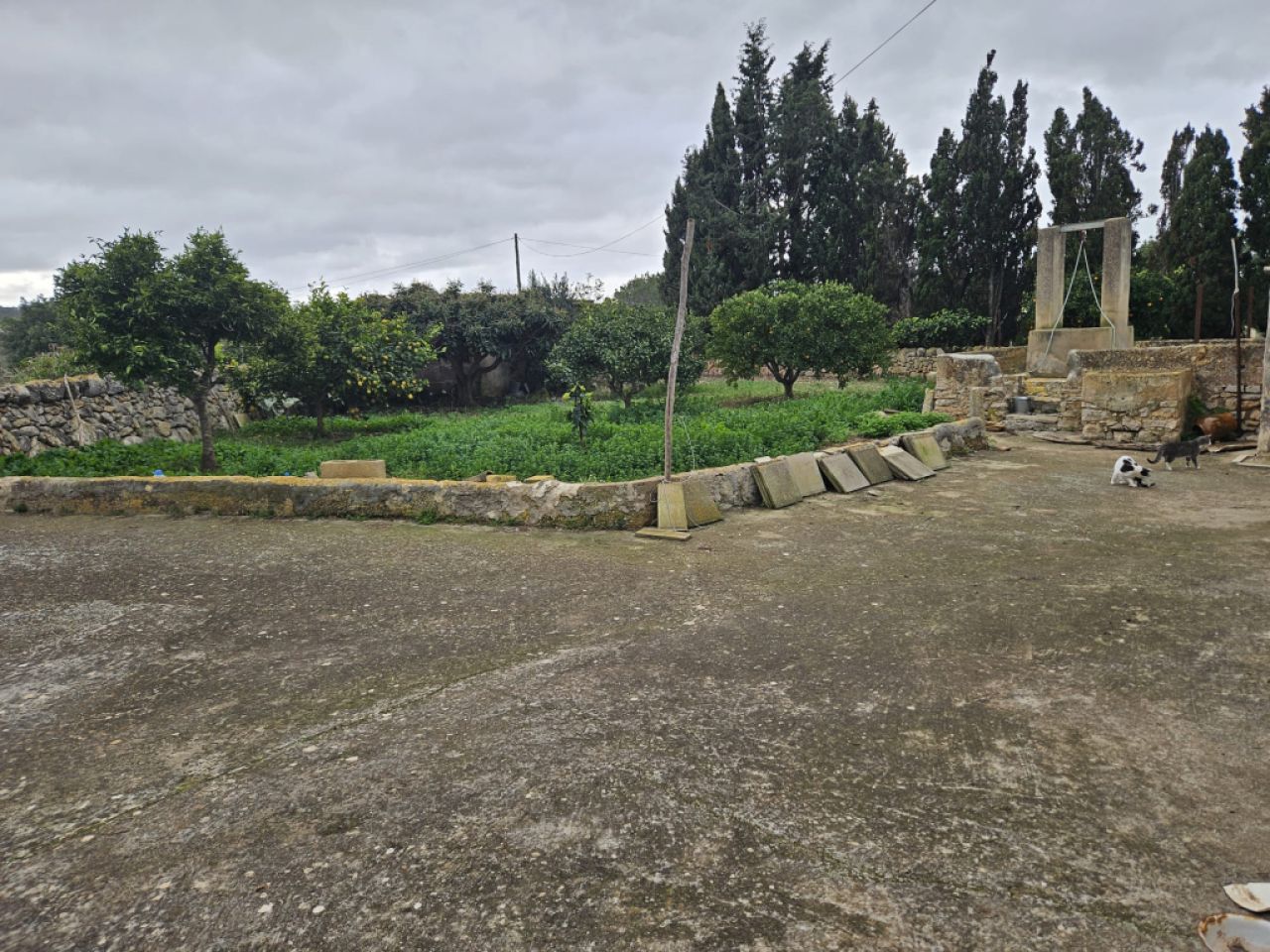 Schöne Finca mit renovierungsbedürftigem Haus