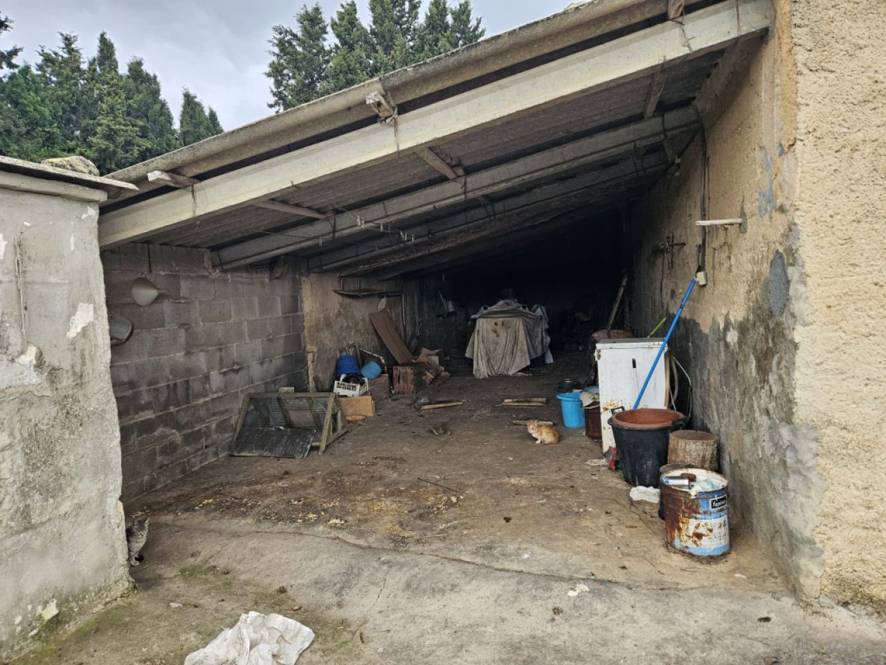 Schöne Finca mit renovierungsbedürftigem Haus