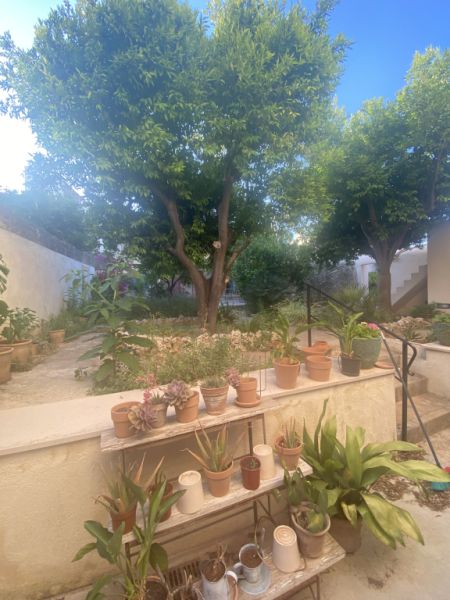 Schöne Zimmer in einem wunderschönen Dorfhaus in Sencelles  zu vermieten