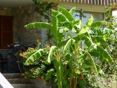 Schönes großes möbl. Zimmer frei in wunderschöner Luxus-Haus-WG mit Garten und Pool in Palma