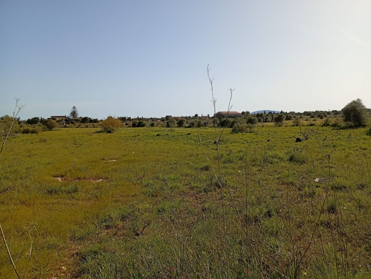 Parcela preciosa con proyecto y licencia de obra Porto Cristo Son Marineta