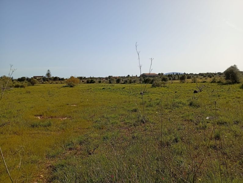 Parcela preciosa con proyecto y licencia de obra Porto Cristo Son Marineta