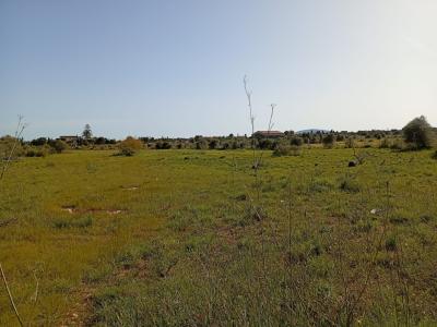 Parcela preciosa con proyecto y licencia de obra Porto Cristo Son Marineta