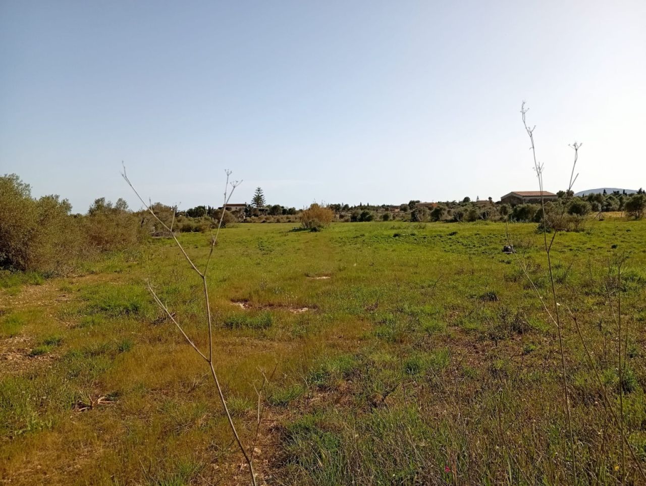 Parcela preciosa con proyecto y licencia de obra Porto Cristo Son Marineta