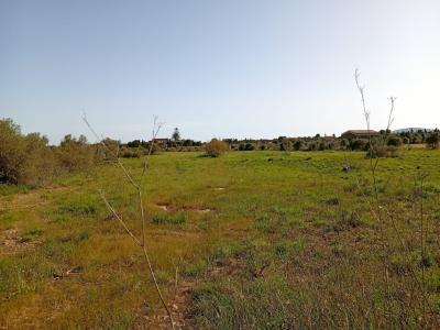 Parcela preciosa con proyecto y licencia de obra Porto Cristo Son Marineta
