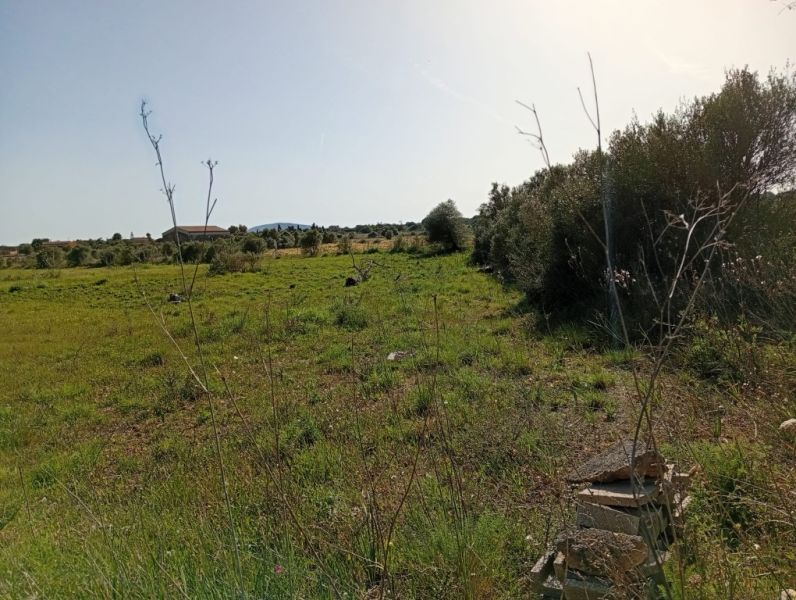 Parcela preciosa con proyecto y licencia de obra Porto Cristo Son Marineta