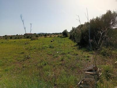 Parcela preciosa con proyecto y licencia de obra Porto Cristo Son Marineta