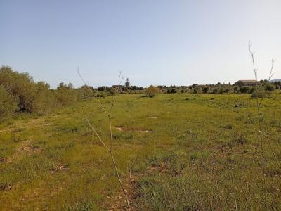 Parcela preciosa con proyecto y licencia de obra Porto Cristo Son Marineta