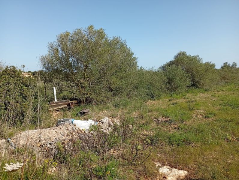 Parcela preciosa con proyecto y licencia de obra Porto Cristo Son Marineta