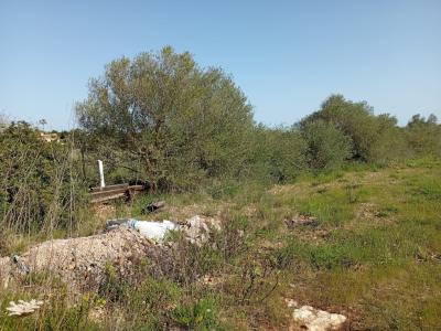 Parcela preciosa con proyecto y licencia de obra Porto Cristo Son Marineta