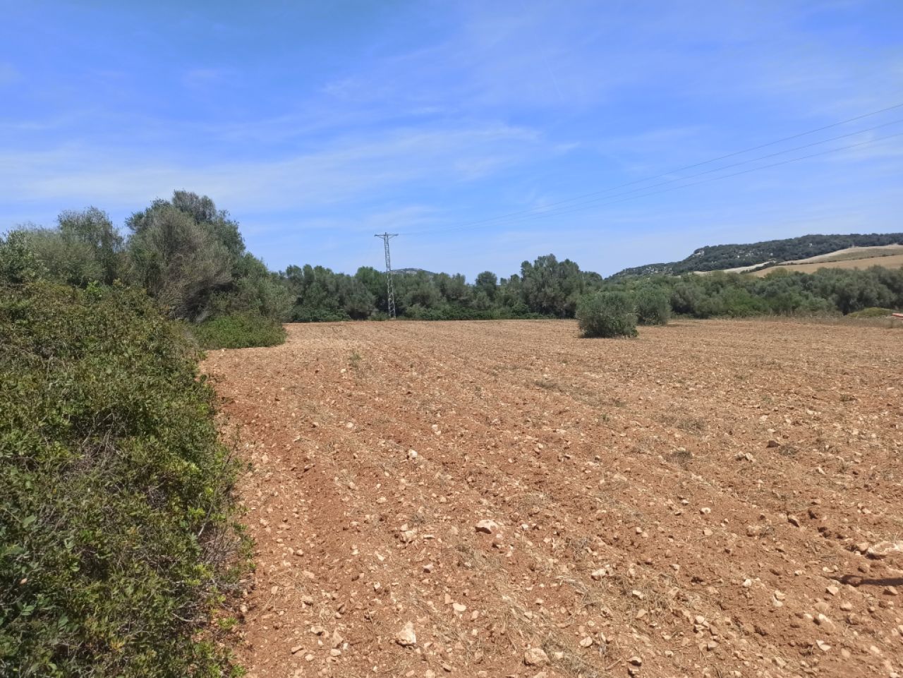 Beautiful quiet plot for sale with project Manacor San Lorenzo