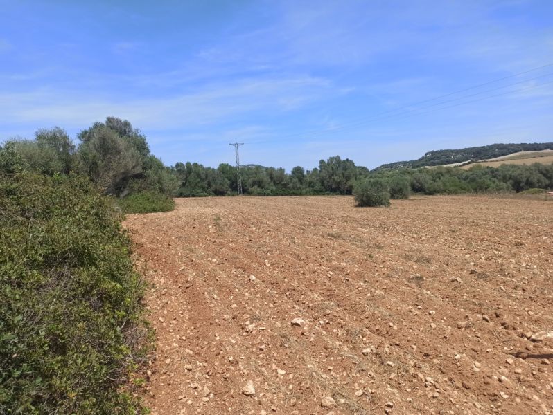 Beautiful quiet plot for sale with project Manacor San Lorenzo
