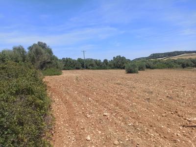 Beautiful quiet plot for sale with project Manacor San Lorenzo