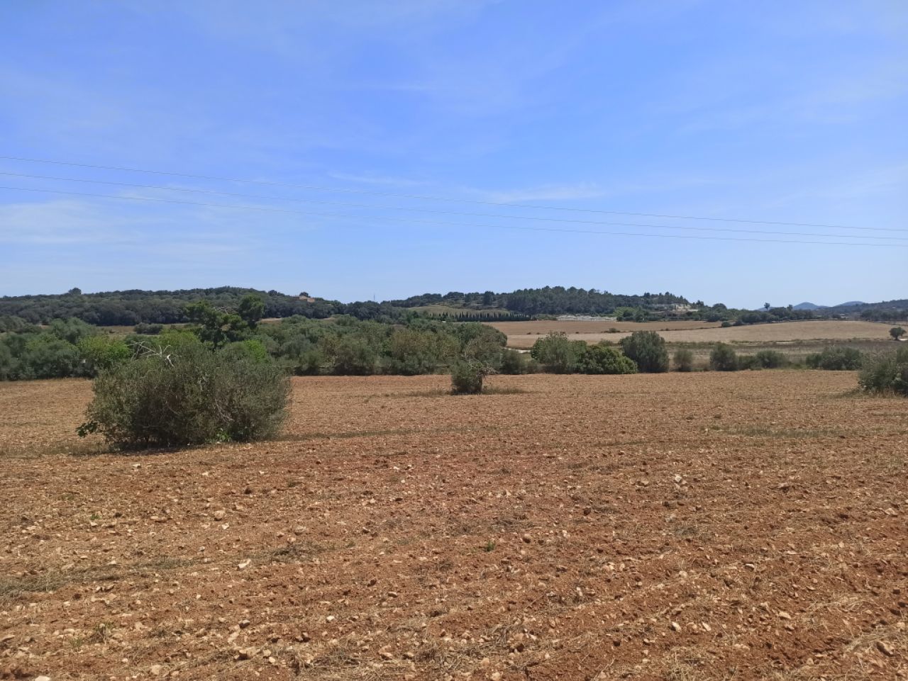 Beautiful quiet plot for sale with project Manacor San Lorenzo