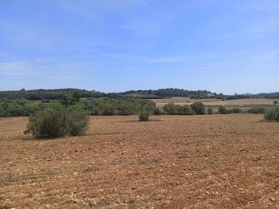 Beautiful quiet plot for sale with project Manacor San Lorenzo
