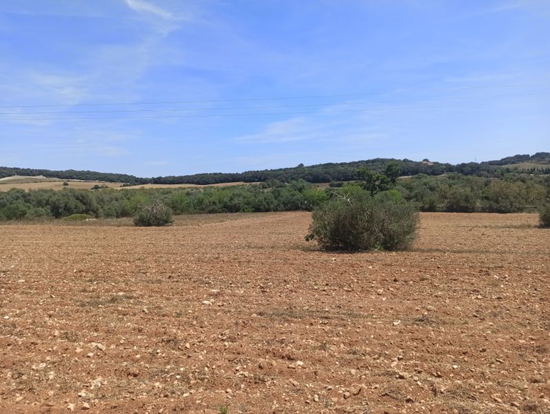 Beautiful quiet plot for sale with project Manacor San Lorenzo
