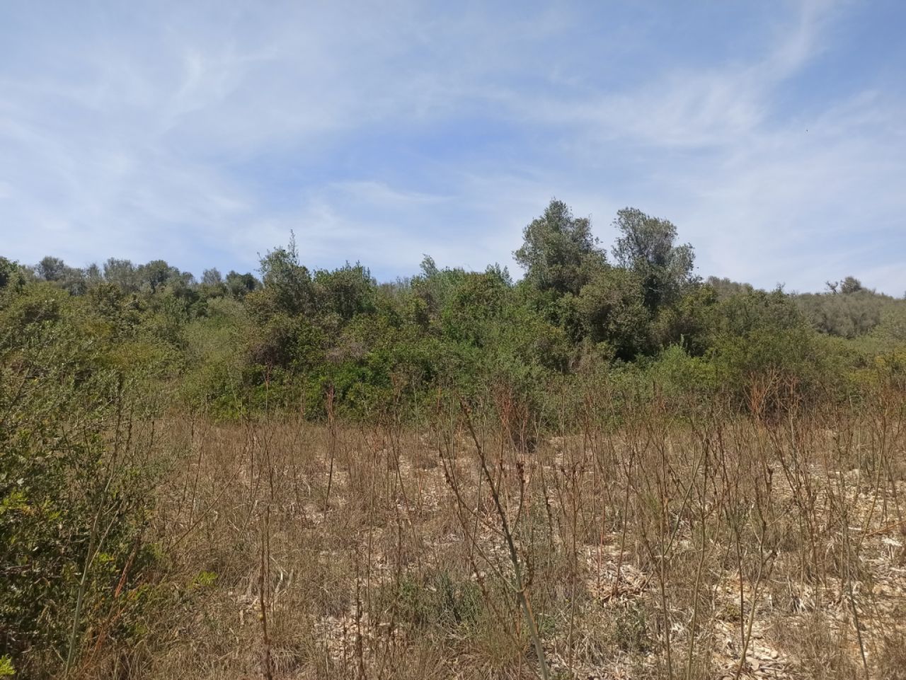 Beautiful quiet plot for sale with project Manacor San Lorenzo