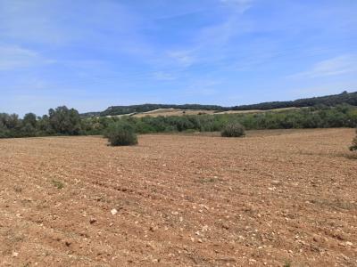 Beautiful quiet plot for sale with project Manacor San Lorenzo