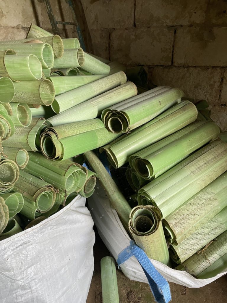 Schutzhüllen für Jungpflanzen/Bäume !