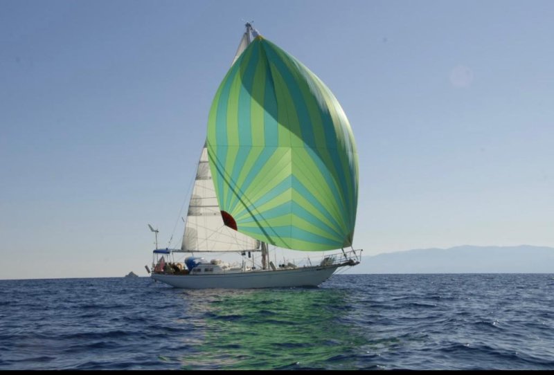 Segelyacht Columbia 50