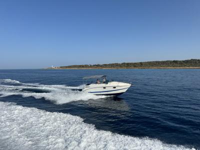 Sehr gepflegtes Motorboot Maxum2600SE zu verkaufen (Liegeplatz kann übernommen werden)