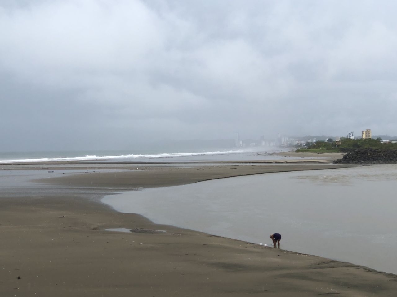 Independent Architect & Manager