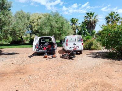 Self-employed gardener