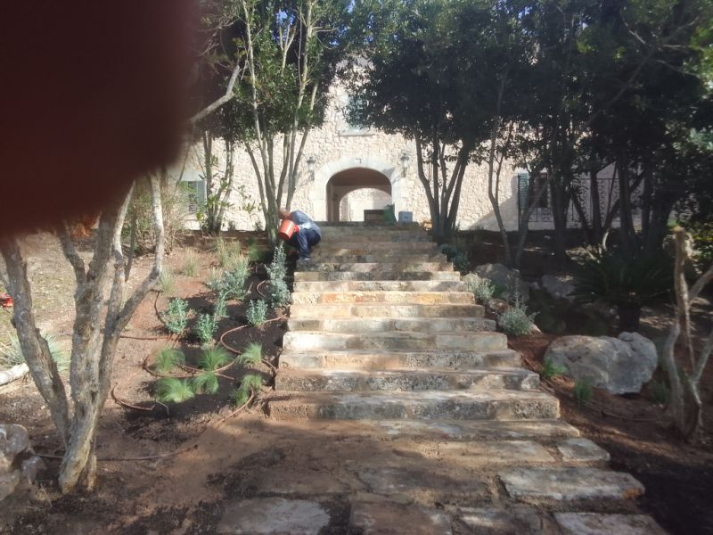 Self-employed gardener